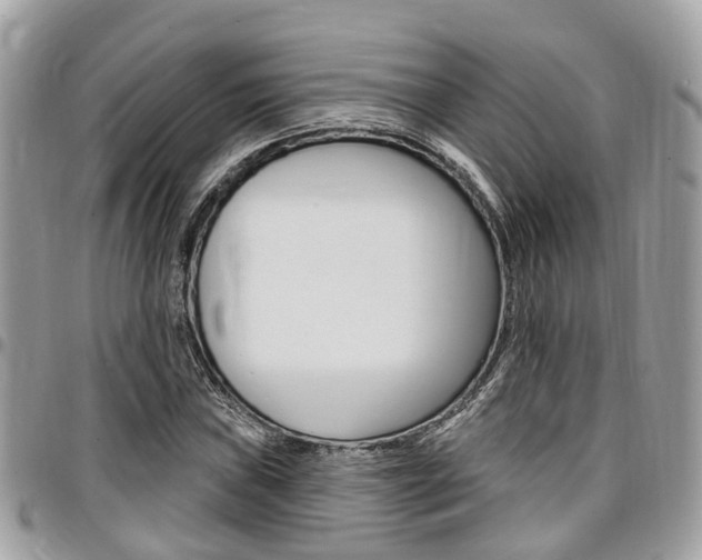 X0000096971019200802080918