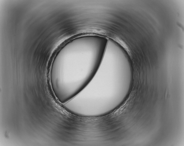 X0000096971020200802080918