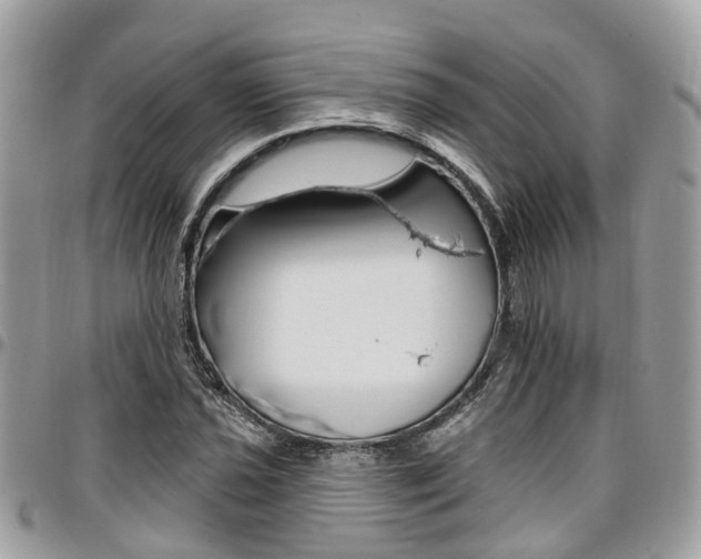 X0000096971021200802080918