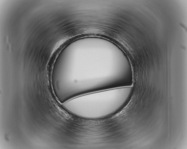 X0000096971022200802080918