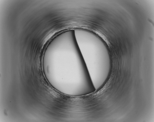 X0000096971023200802080918