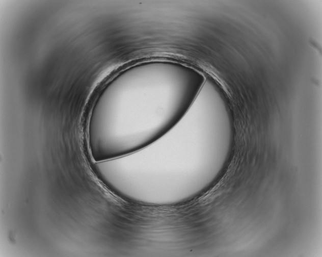 X0000096971024200802080918