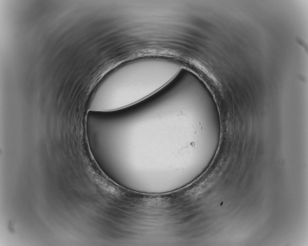 X0000096971025200802080918