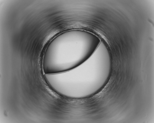 X0000096971026200802080918