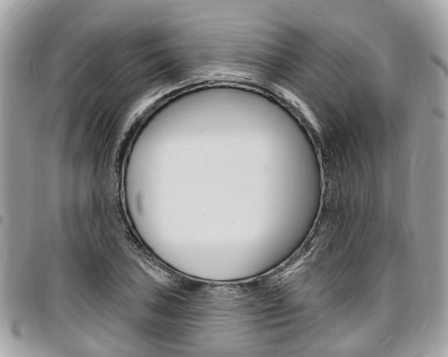 X0000096971027200802080918