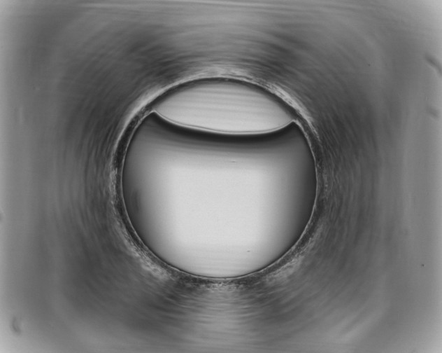 X0000096971029200802080918