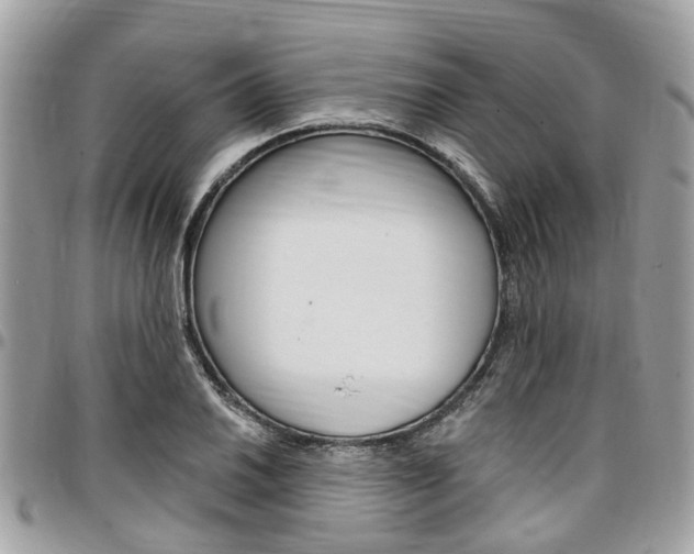 X0000096971030200802080918