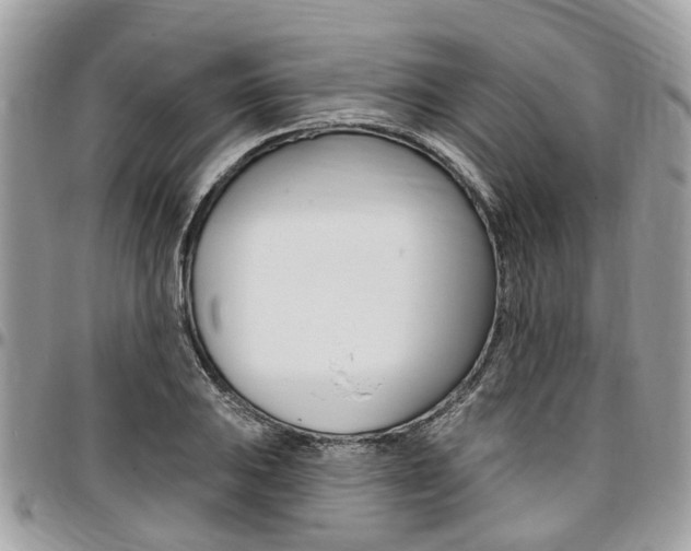 X0000096971031200802080918