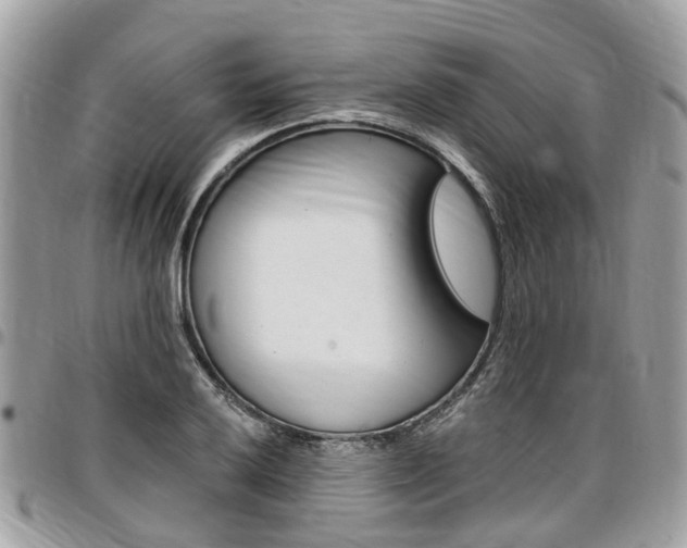 X0000096971032200802080918