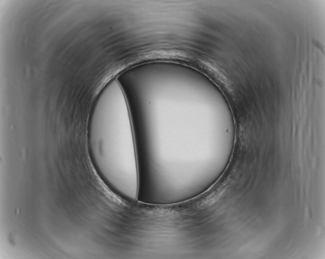 X0000096971033200802080918