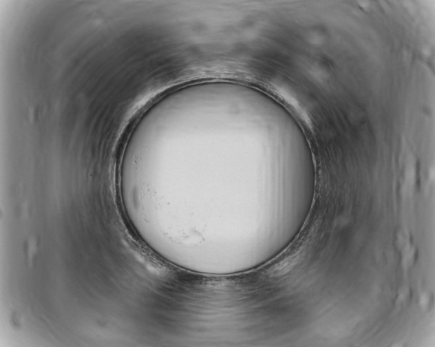 X0000096971035200802080918