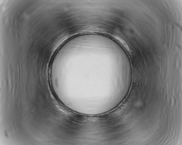 X0000096971039200802080918