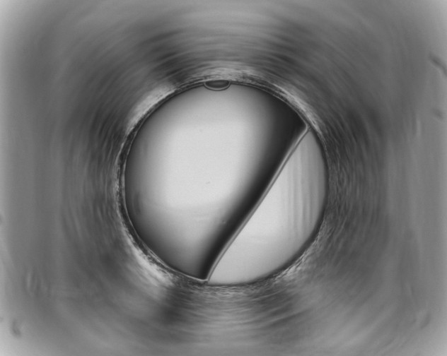 X0000096971042200802080919