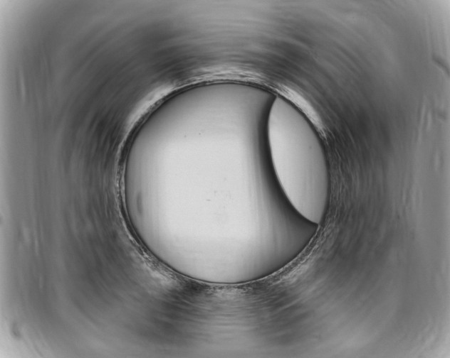 X0000096971043200802080919