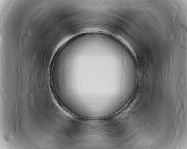 X0000096971045200802080919