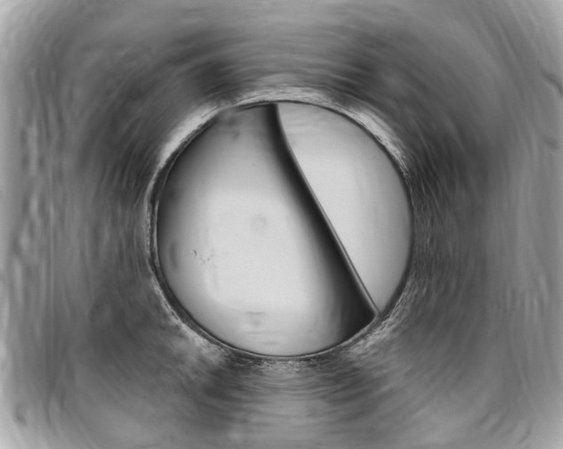 X0000096971046200802080919