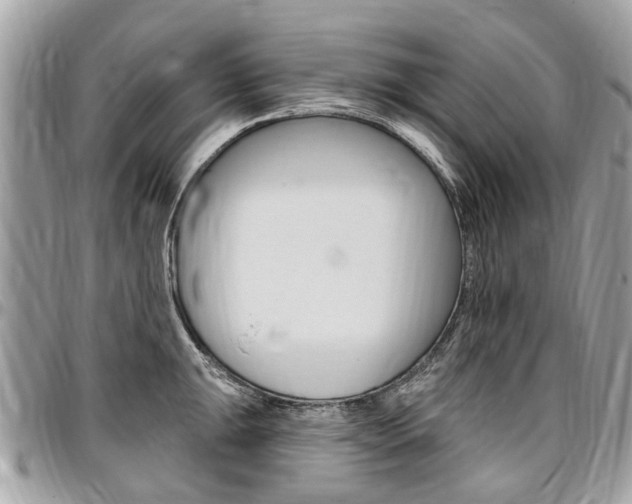 X0000096971047200802080919
