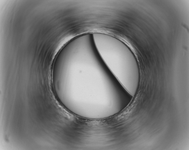 X0000096971048200802080919