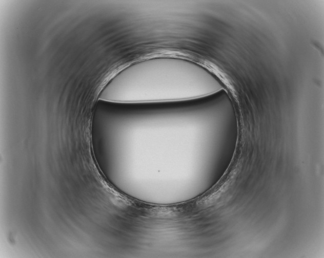 X0000096971049200802080919