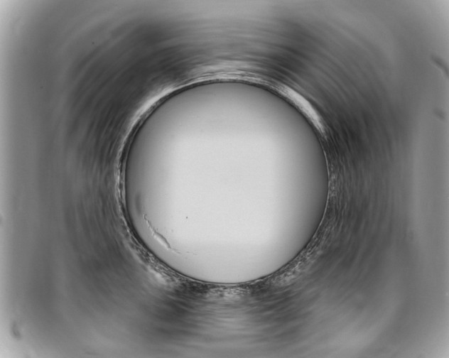 X0000096971051200802080919