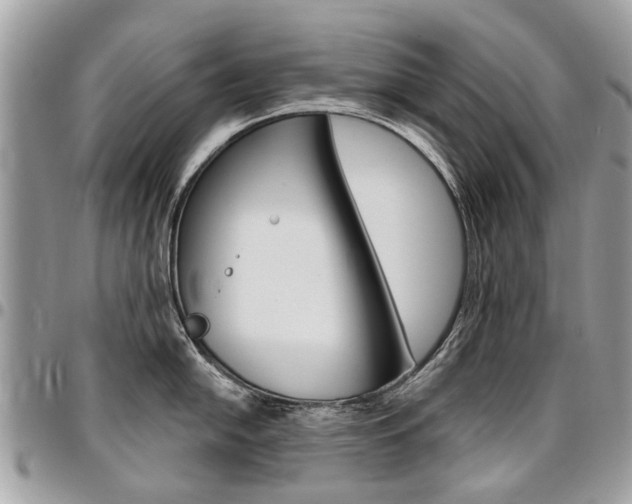 X0000096971054200802080919