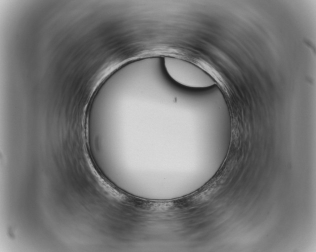 X0000096971055200802080919