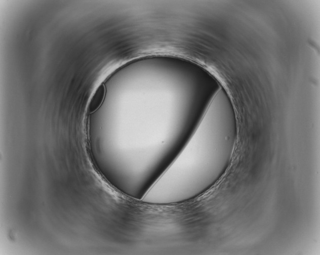 X0000096971056200802080919