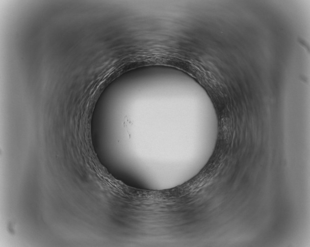 X0000096971057200802080918