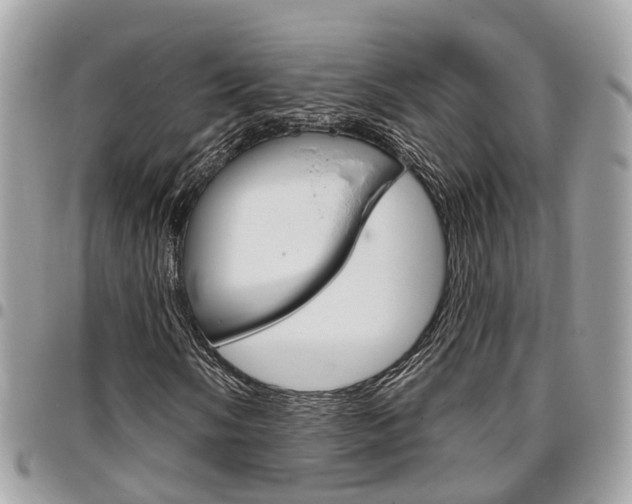 X0000096971058200802080918