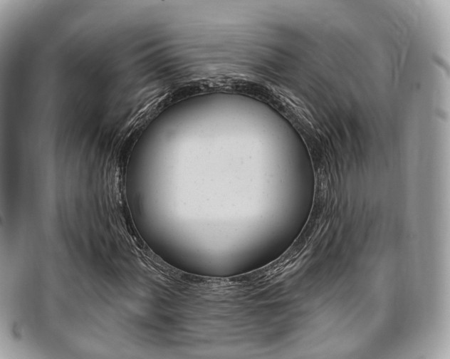X0000096971060200802080918