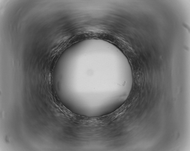 X0000096971061200802080918