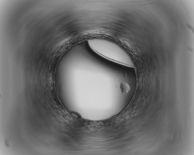X0000096971062200802080918