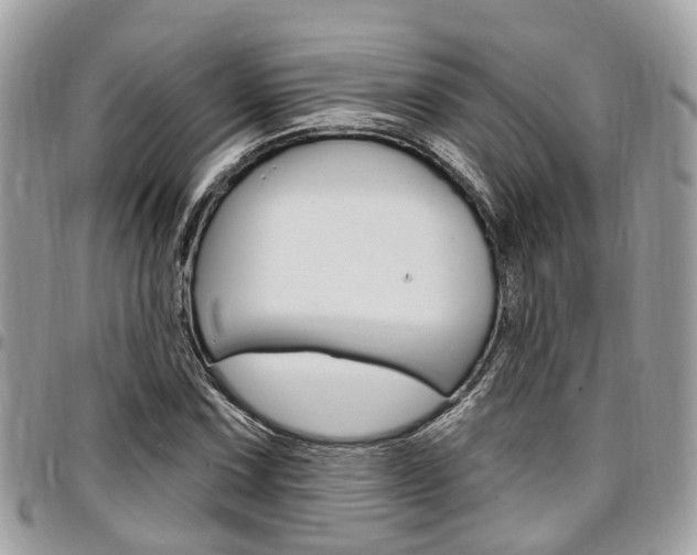 X0000096971067200802080918