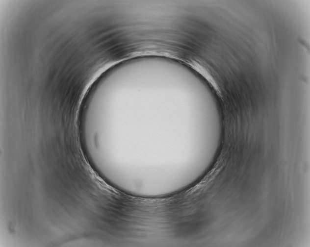 X0000096971068200802080918