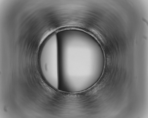X0000096971069200802080918