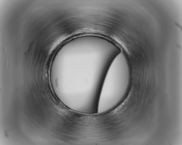 X0000096971070200802080918