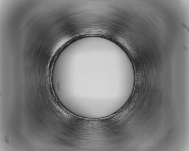 X0000096971071200802080918