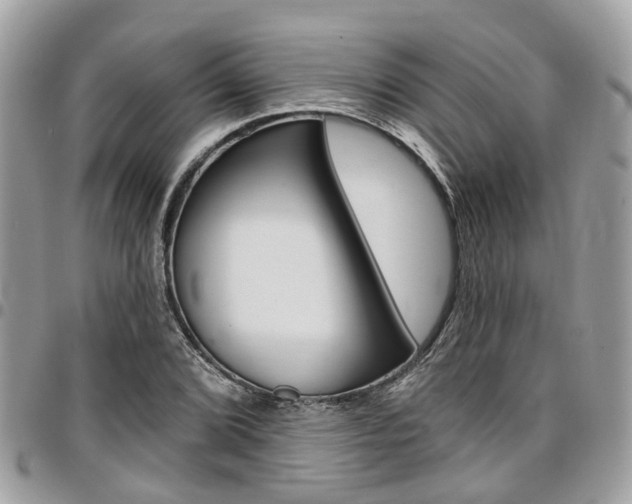 X0000096971072200802080918