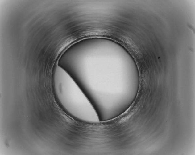 X0000096971073200802080918