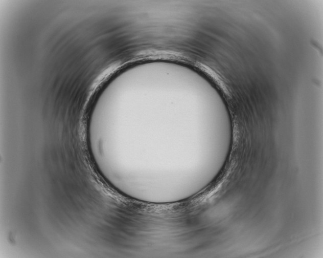 X0000096971074200802080918