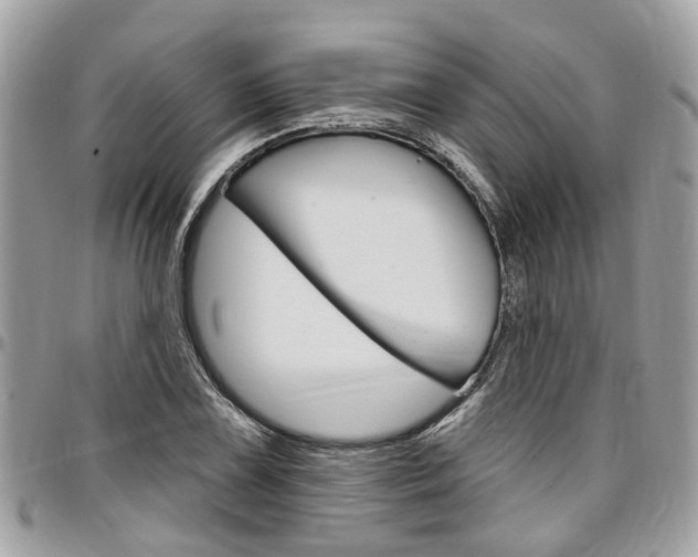 X0000096971075200802080918