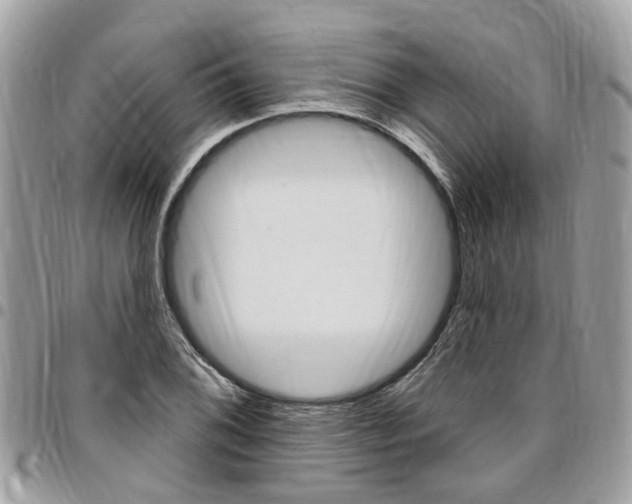 X0000096971076200802080918