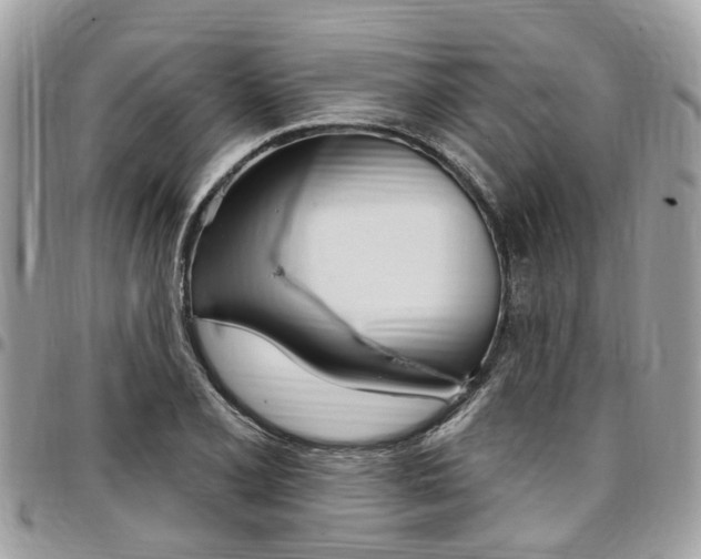 X0000096971077200802080918
