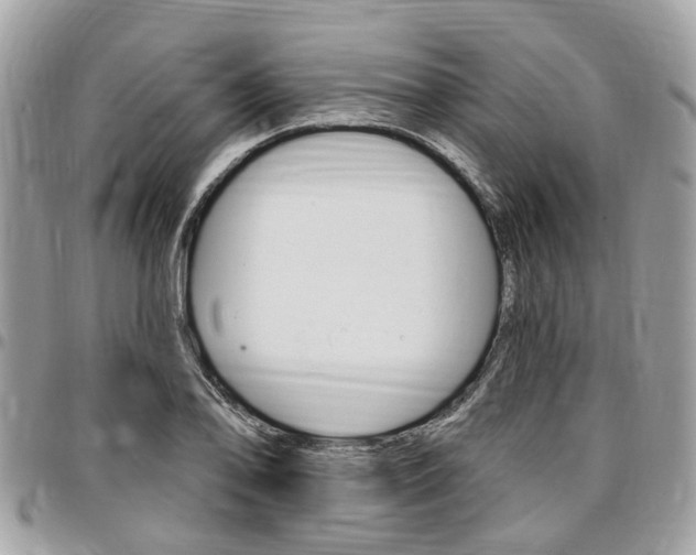 X0000096971078200802080918