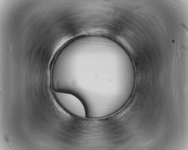 X0000096971079200802080918