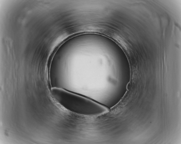 X0000096971080200802080918