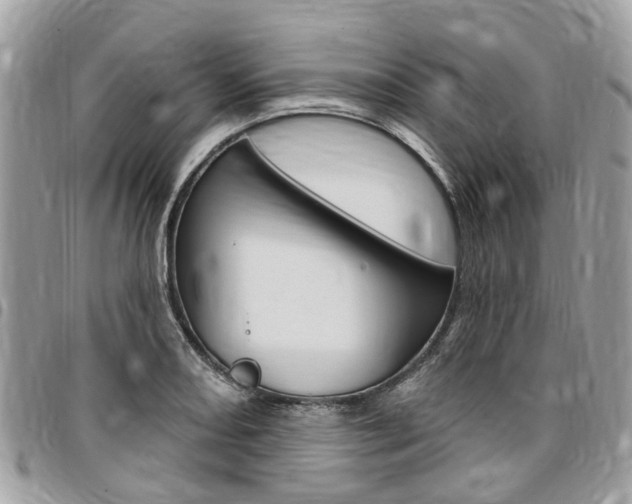 X0000096971082200802080918