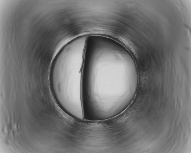 X0000096971085200802080918