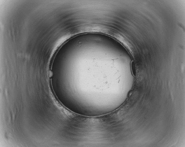 X0000096971088200802080917