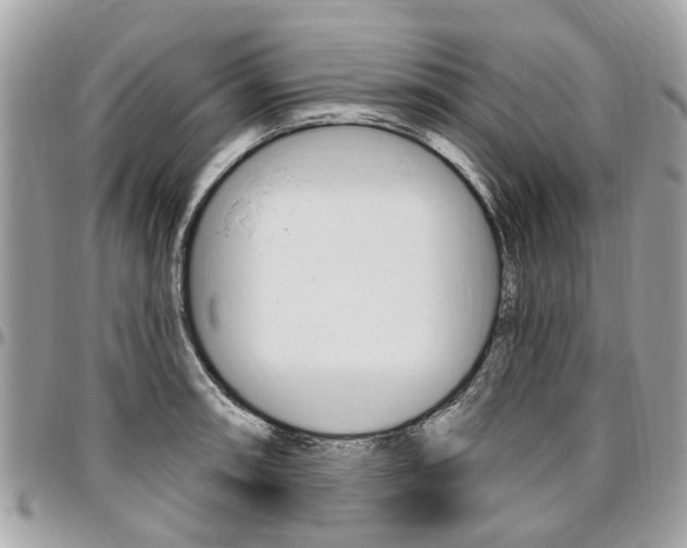 X0000096971090200802080917